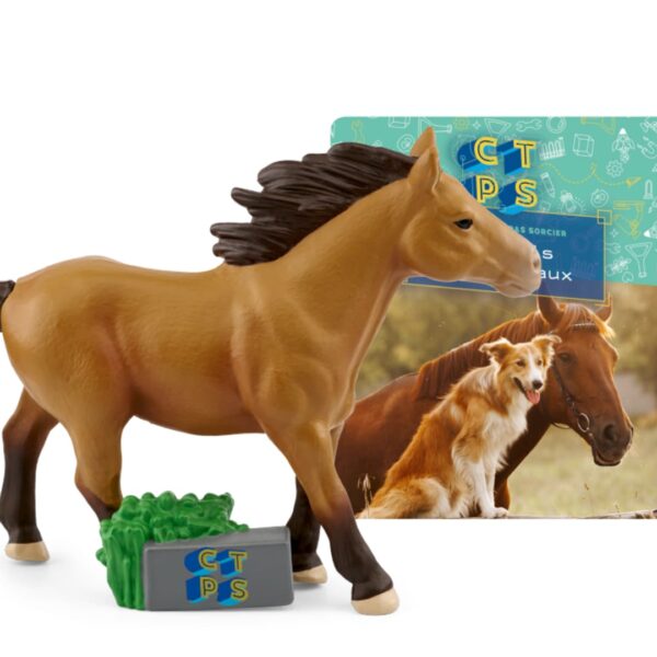 Figurine Tonie - C'Est Toujours Pas Sorcier - Nos Amis Les Animaux