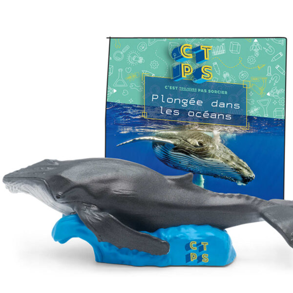 Plongée Dans Les Océans